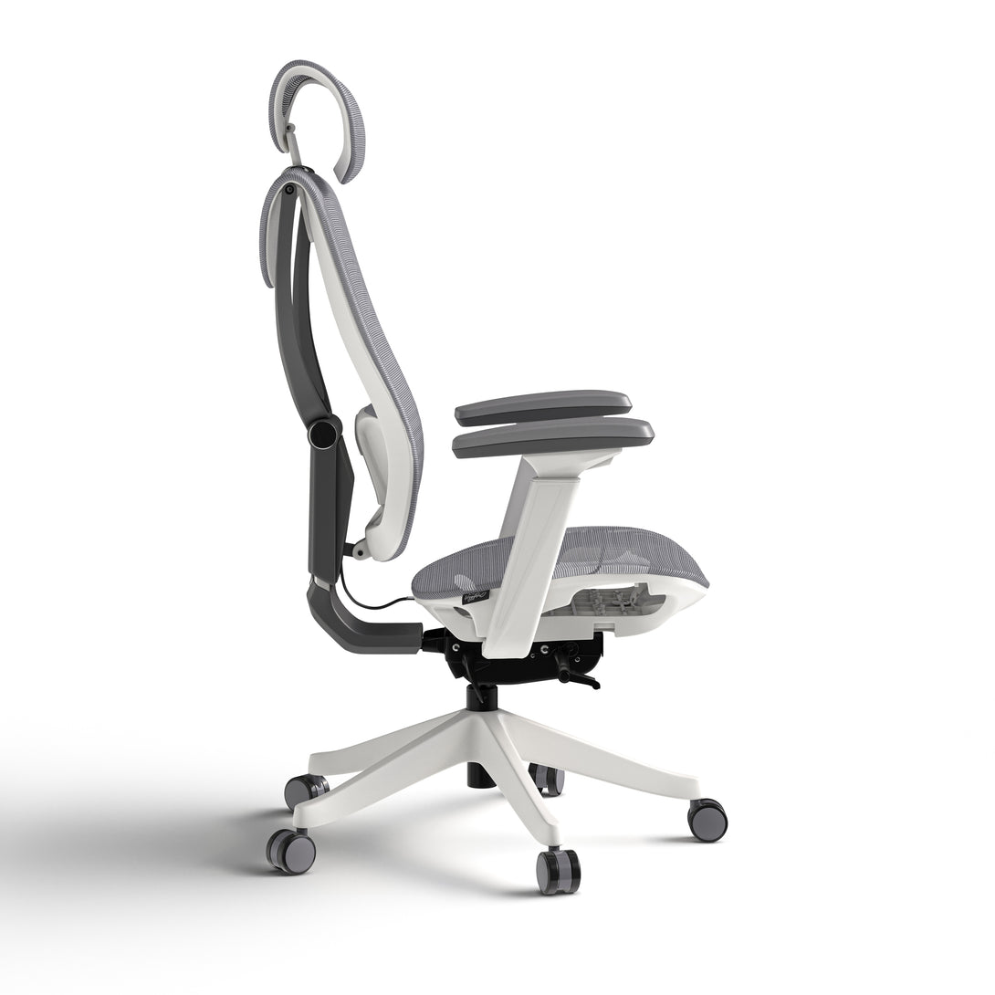 ComfyZen Ergonomic Office Chair