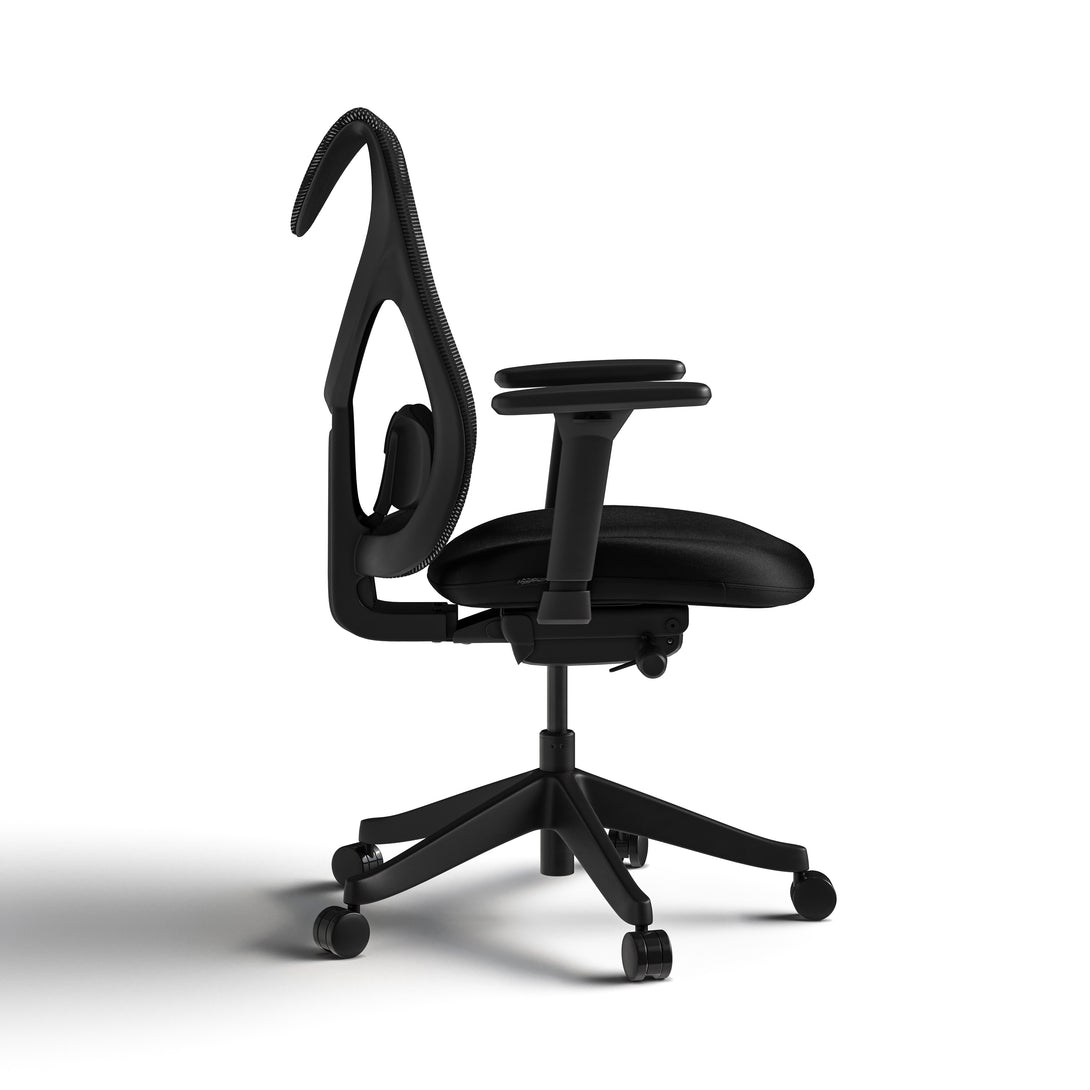 ComfyNest Ergonomic Office Chair