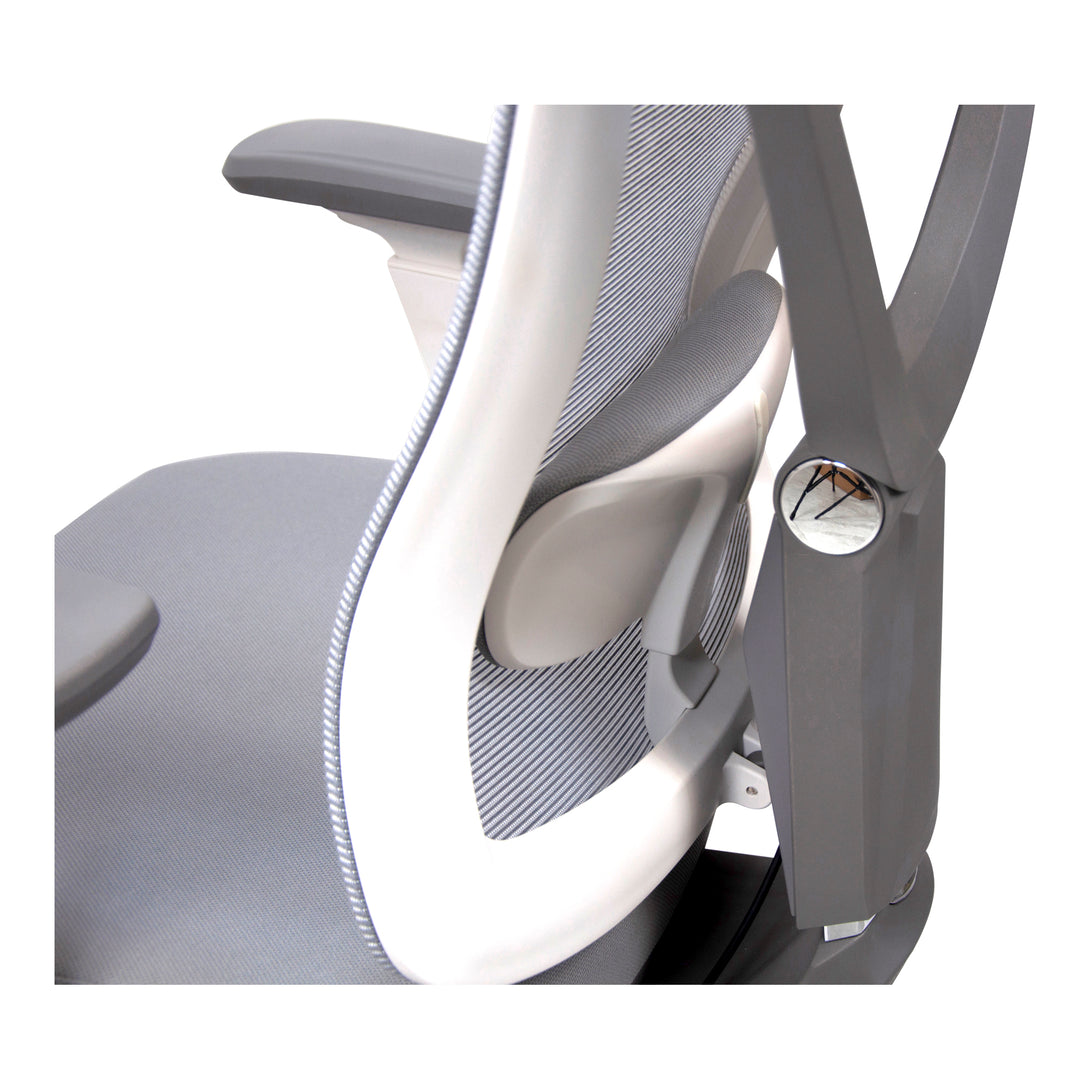 ComfyZen Ergonomic Office Chair