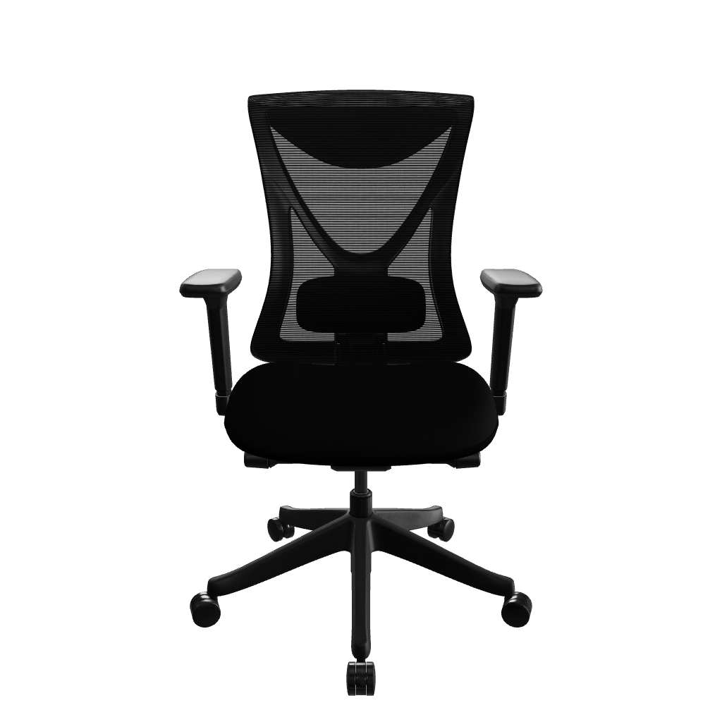 ComfyNest Ergonomic Office Chair